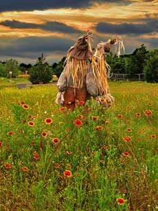 sidebar_image_10