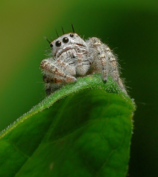 sidebar_image 14
